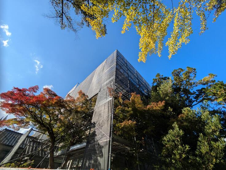 shared image (14).jpeg