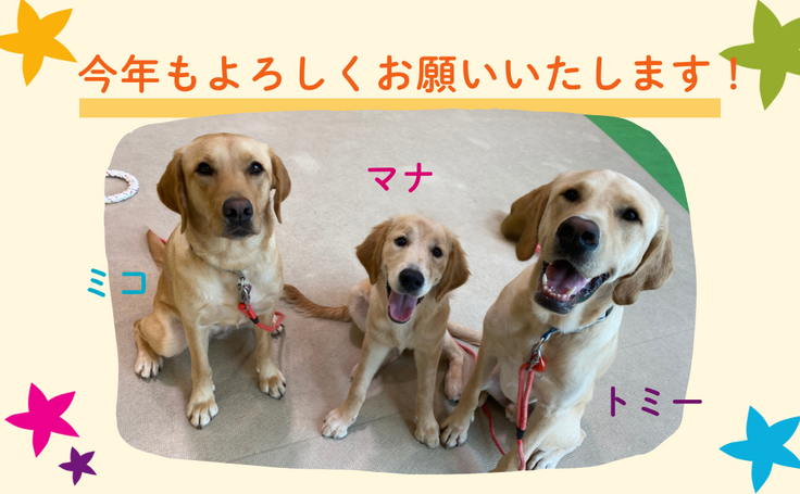 SOK様_活動報告サムネイルのコピー (1).png