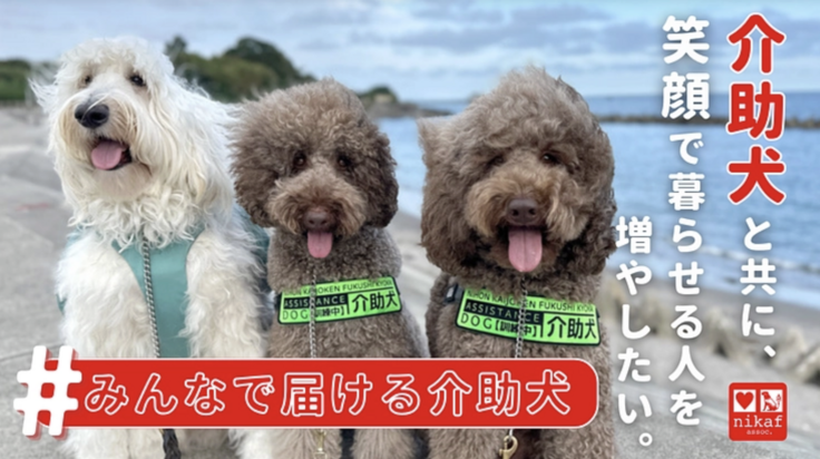 日本介助犬福祉協会のクラウドファンディング