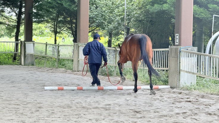 横木をまたぐ練習