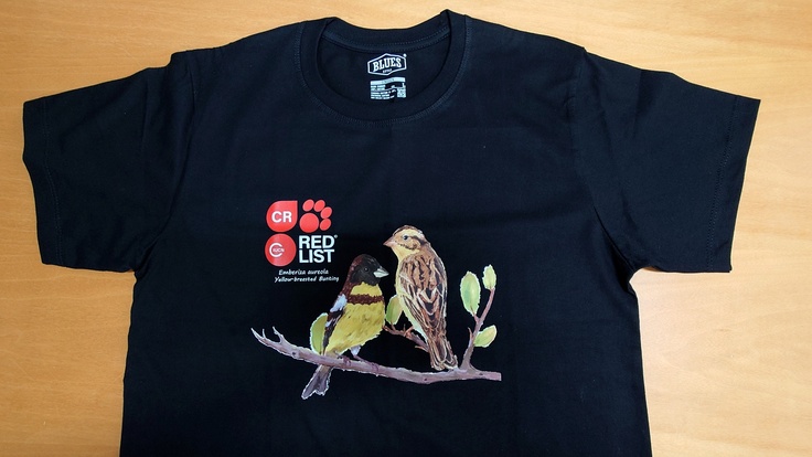 タイ製REDListシマアオジTシャツ