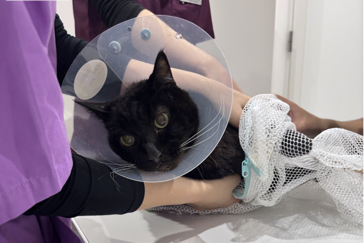 スクリーンショット 2025-11-12 16.14.06.png