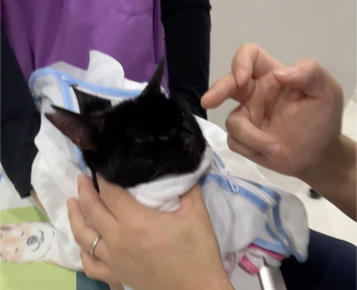 スクリーンショット 2025-11-12 19.49.04.png