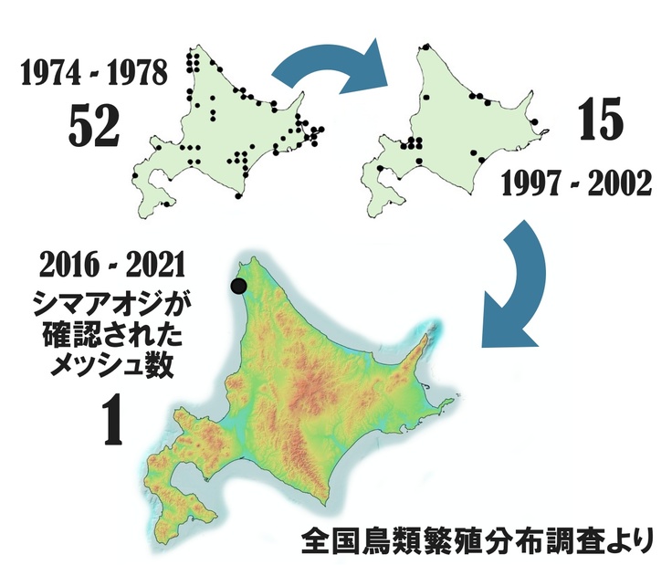 北海道のシマアオジ繁殖分布調査結果map.jpg