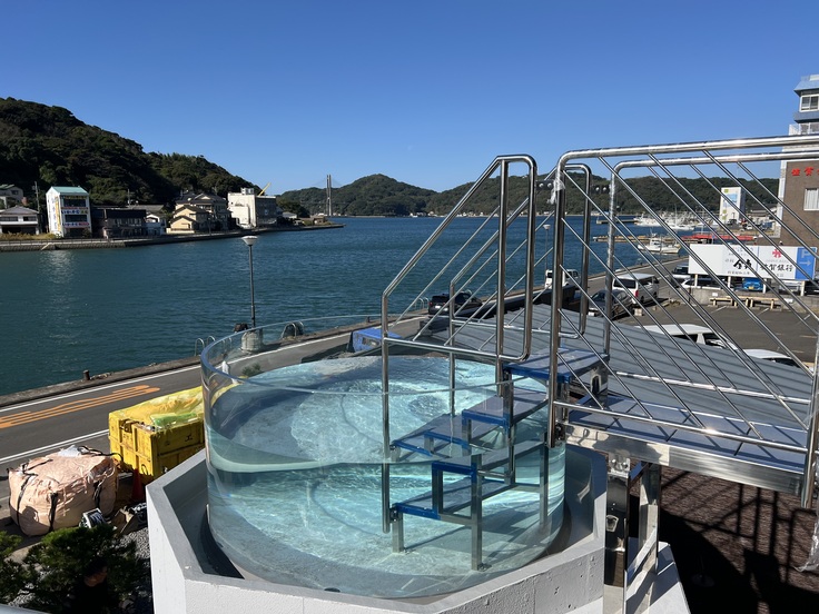 海に溶け込む水風呂