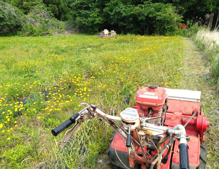 耕作放棄地の整備